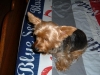 DSCF0499