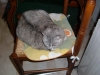 DSCF0507