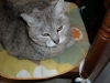DSCF0508