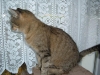 DSCF0512